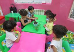 مهارت زندگی «نگهداری گیاه»