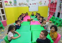 آشنایی با میوه های پاییزی
